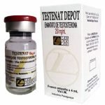 Enantato de Testosterona 4ML - 250MG/ML – Landerlan