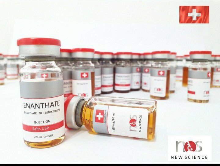Enantato de testosterona – 10ML – 250MG – New Science
